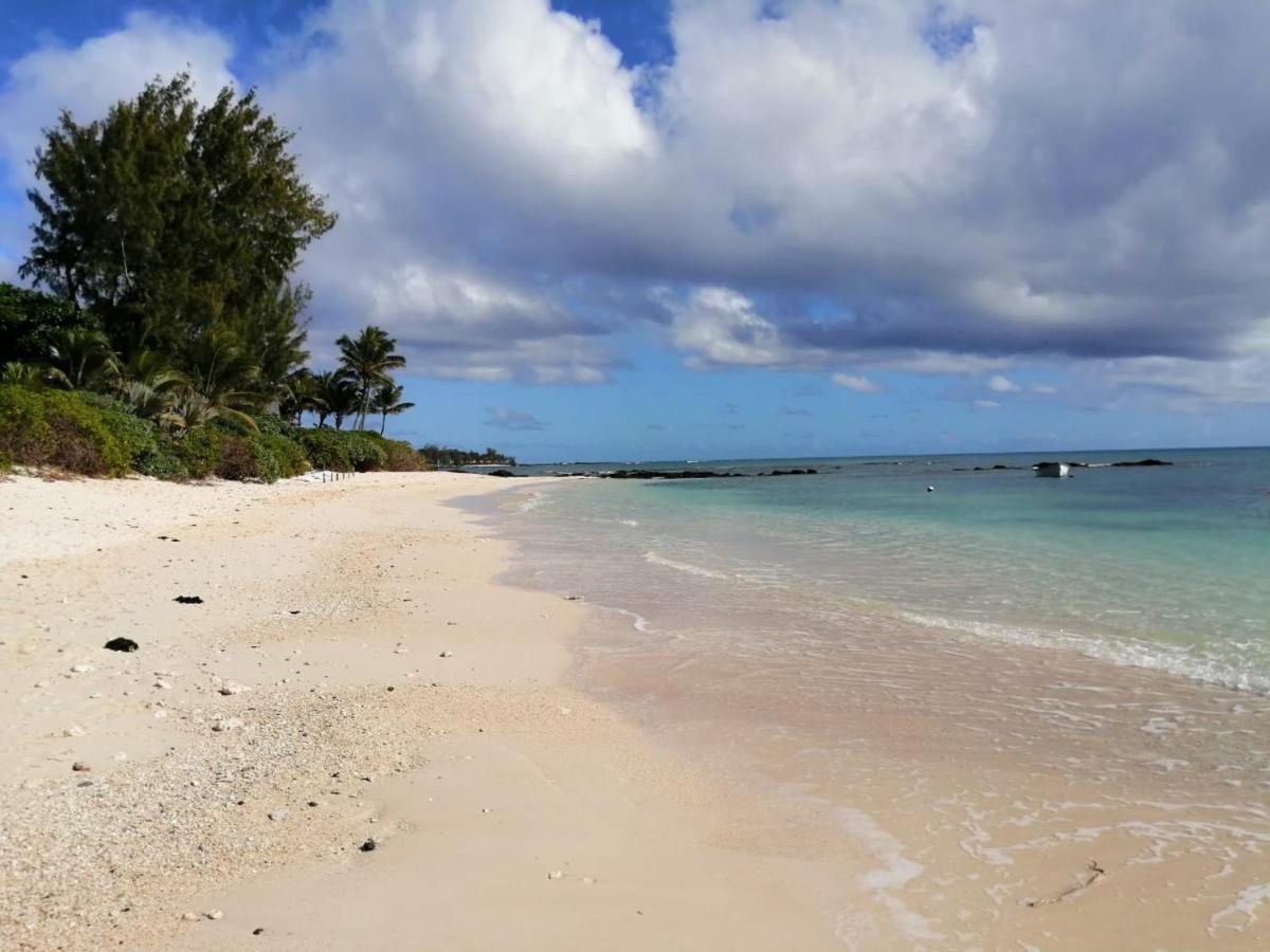 Tropical Palms Apartment Mauritius Pointe aux Canonniers Dış mekan fotoğraf