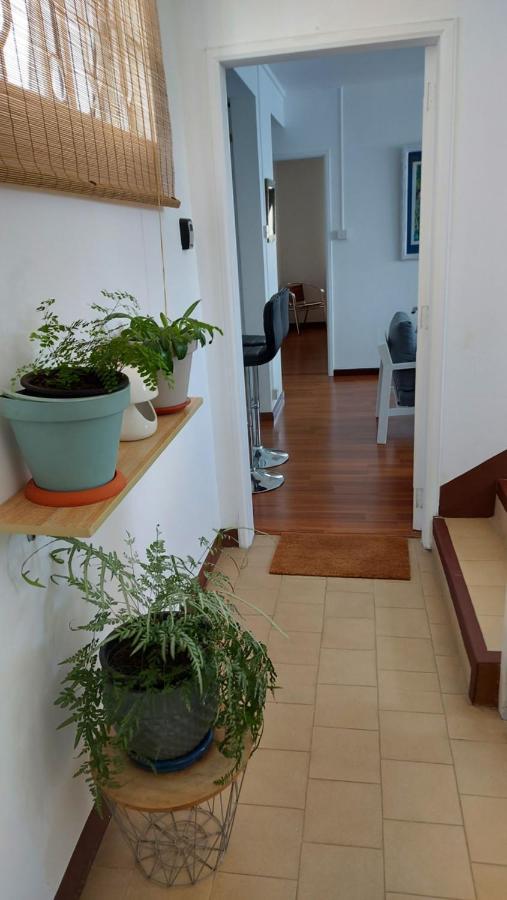 Tropical Palms Apartment Mauritius Pointe aux Canonniers Dış mekan fotoğraf